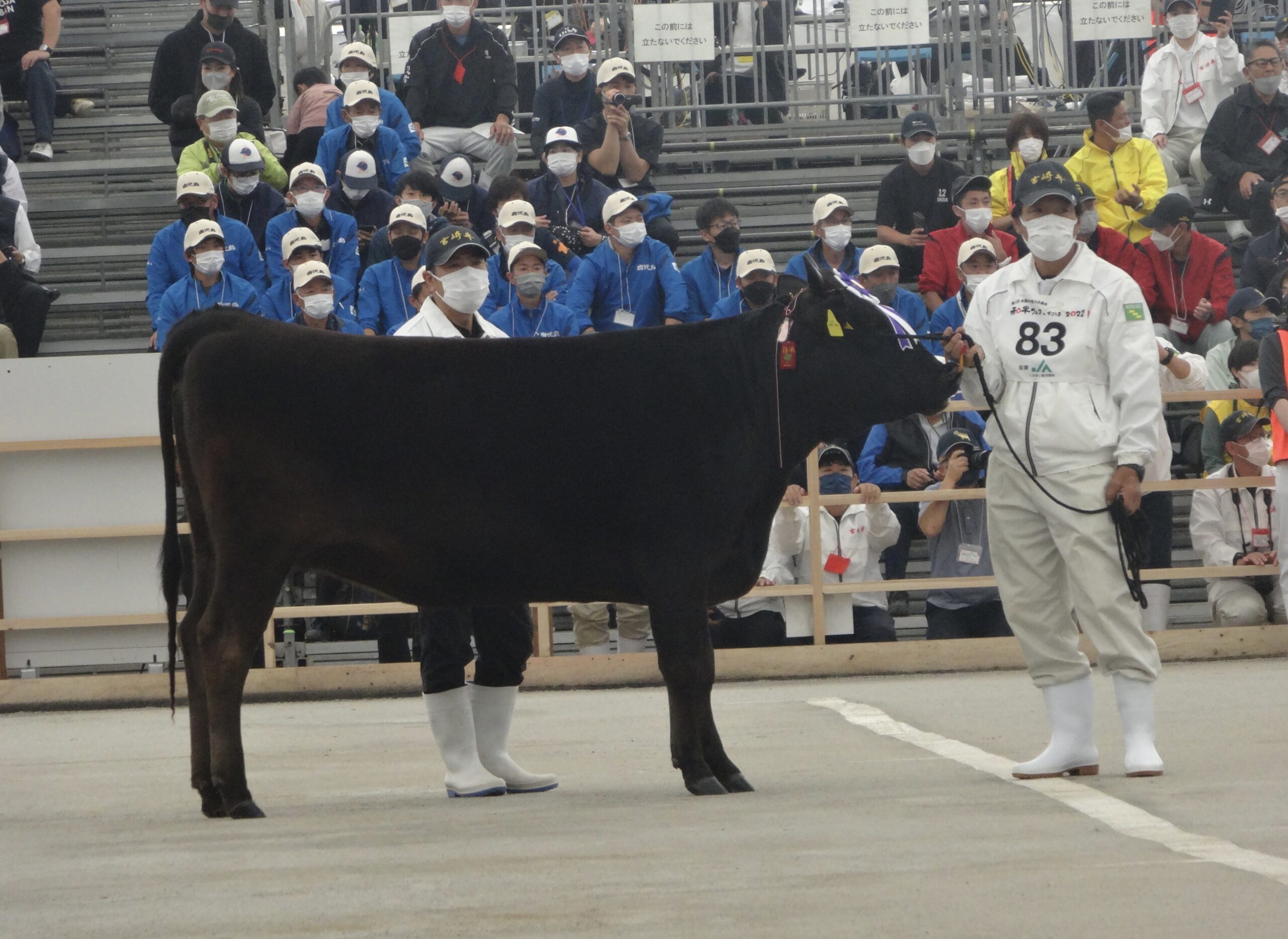 日本第一宮崎牛背後的用心